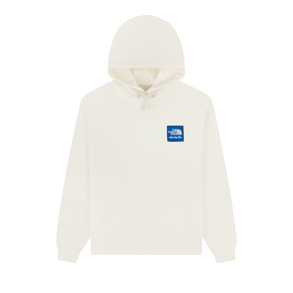 Aimé Leon Dore x The North Face Logo Hoodie Pristine