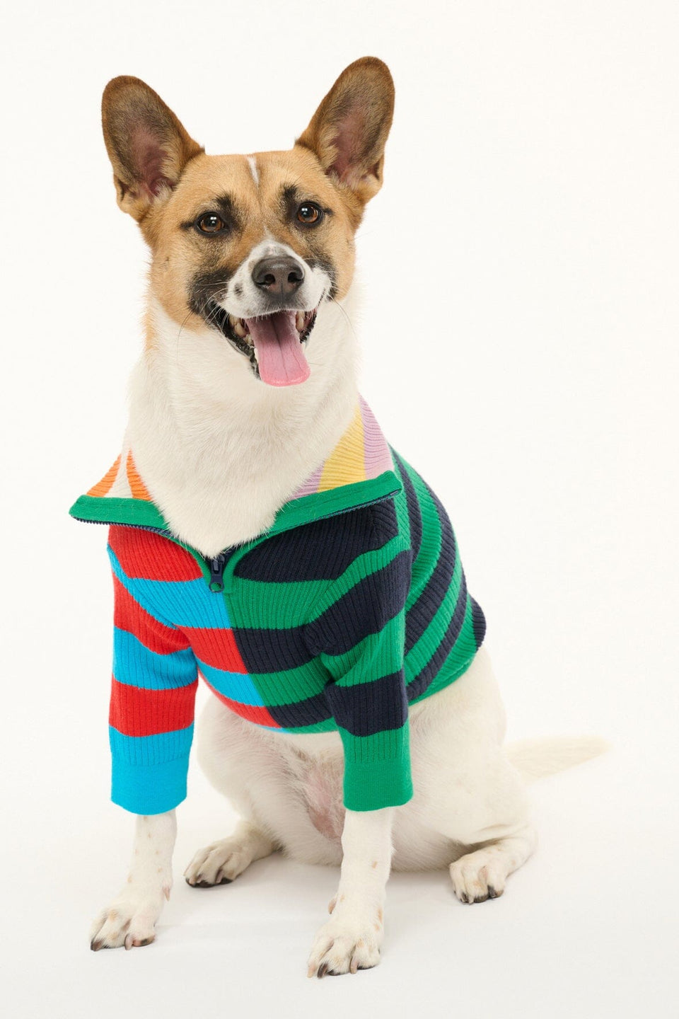 PET HAMPTON SWEATER CABANA STRIPE MULTI