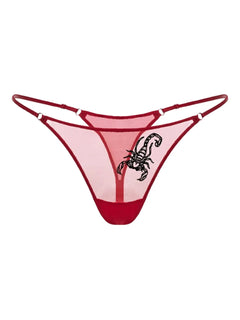 embroidered sheer thong
