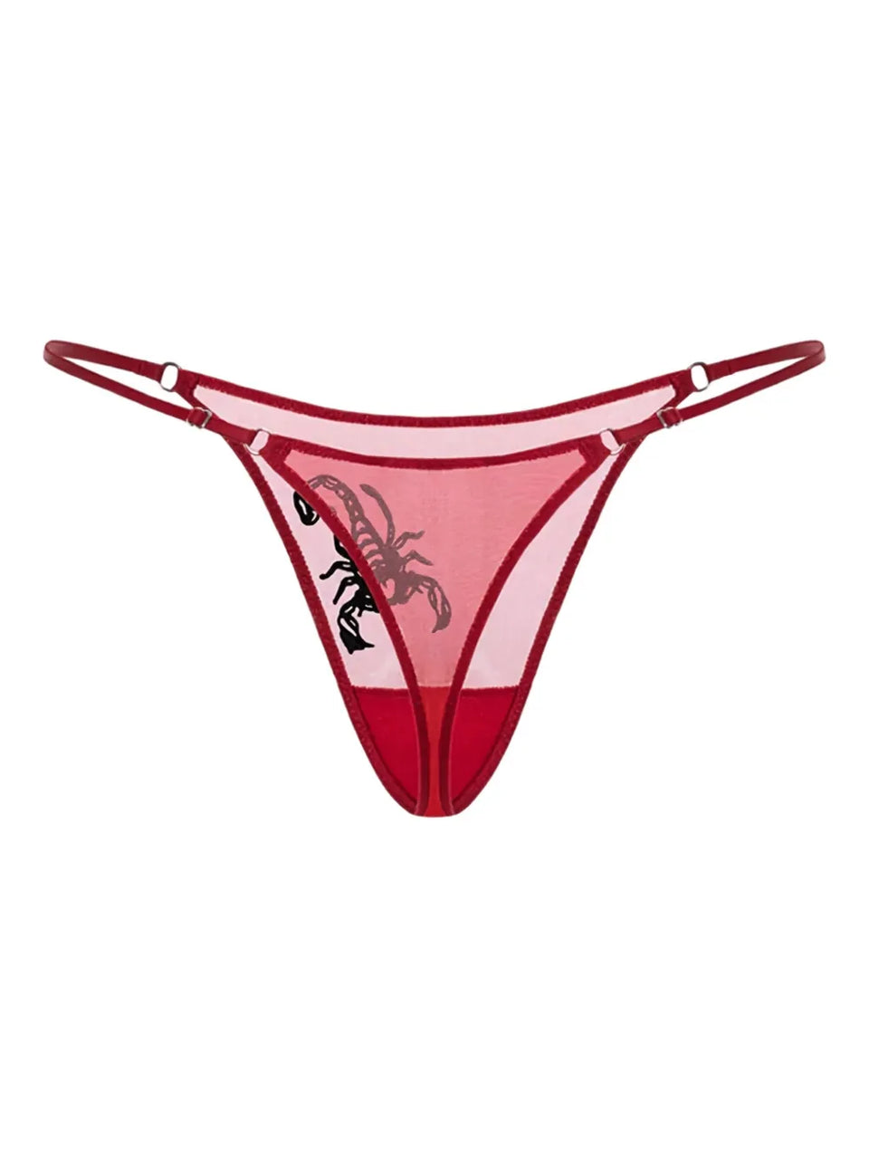 embroidered sheer thong