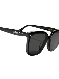 Palette 01 tinted sunglasses