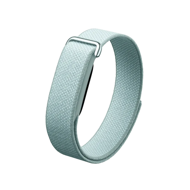 Google Fitbit Air "Fog"