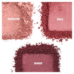Cheek Palette (Holiday Limited Edition)