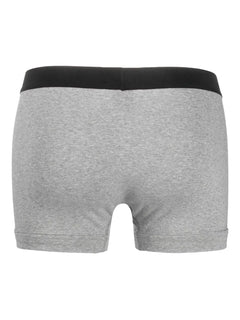 logo-waistband boxer briefs (pack of two)