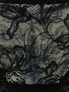 Lace Brazilian briefs
