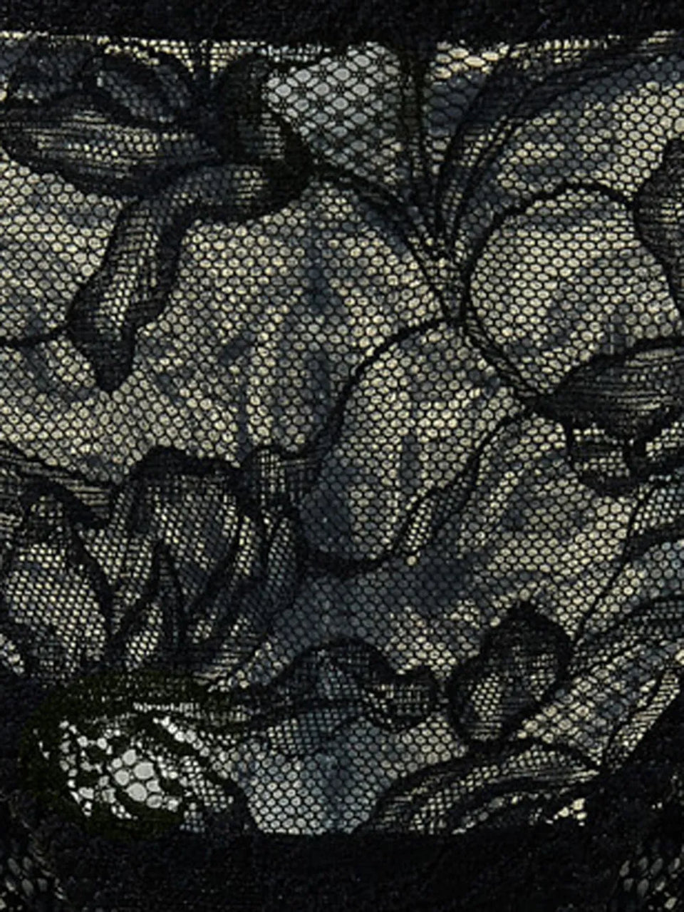Lace Brazilian briefs