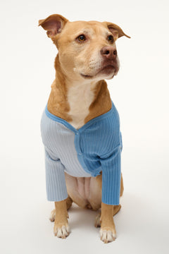 PET SHOKO SWEATER PERIWINKLE MULTI
