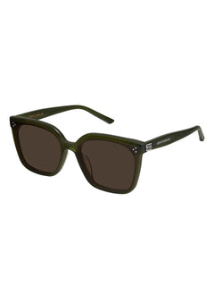 Piana KC2 sunglasses