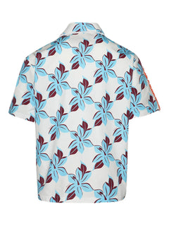 dolphin-print shirt