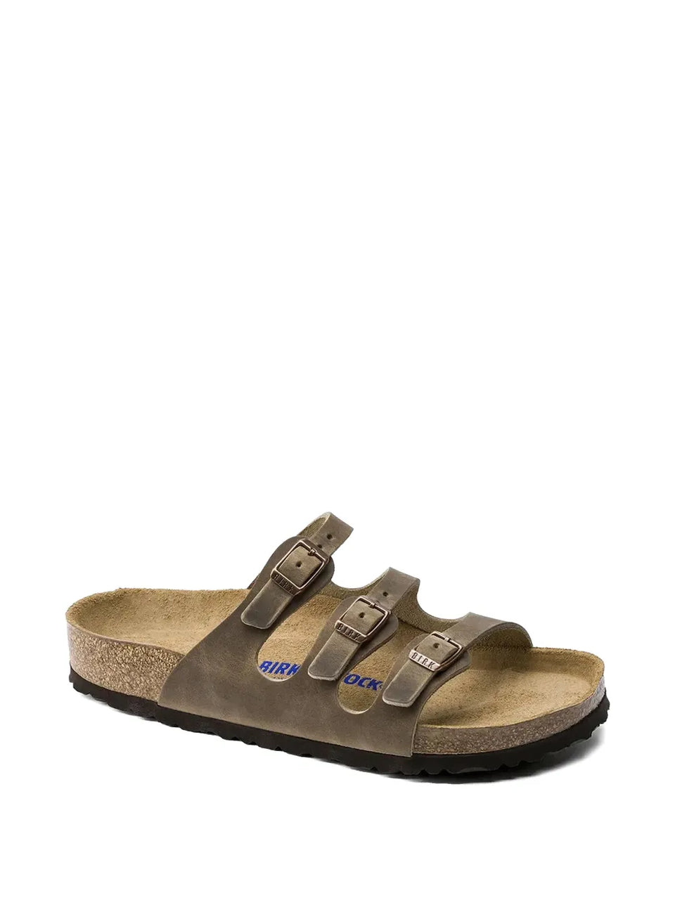 Florida slides