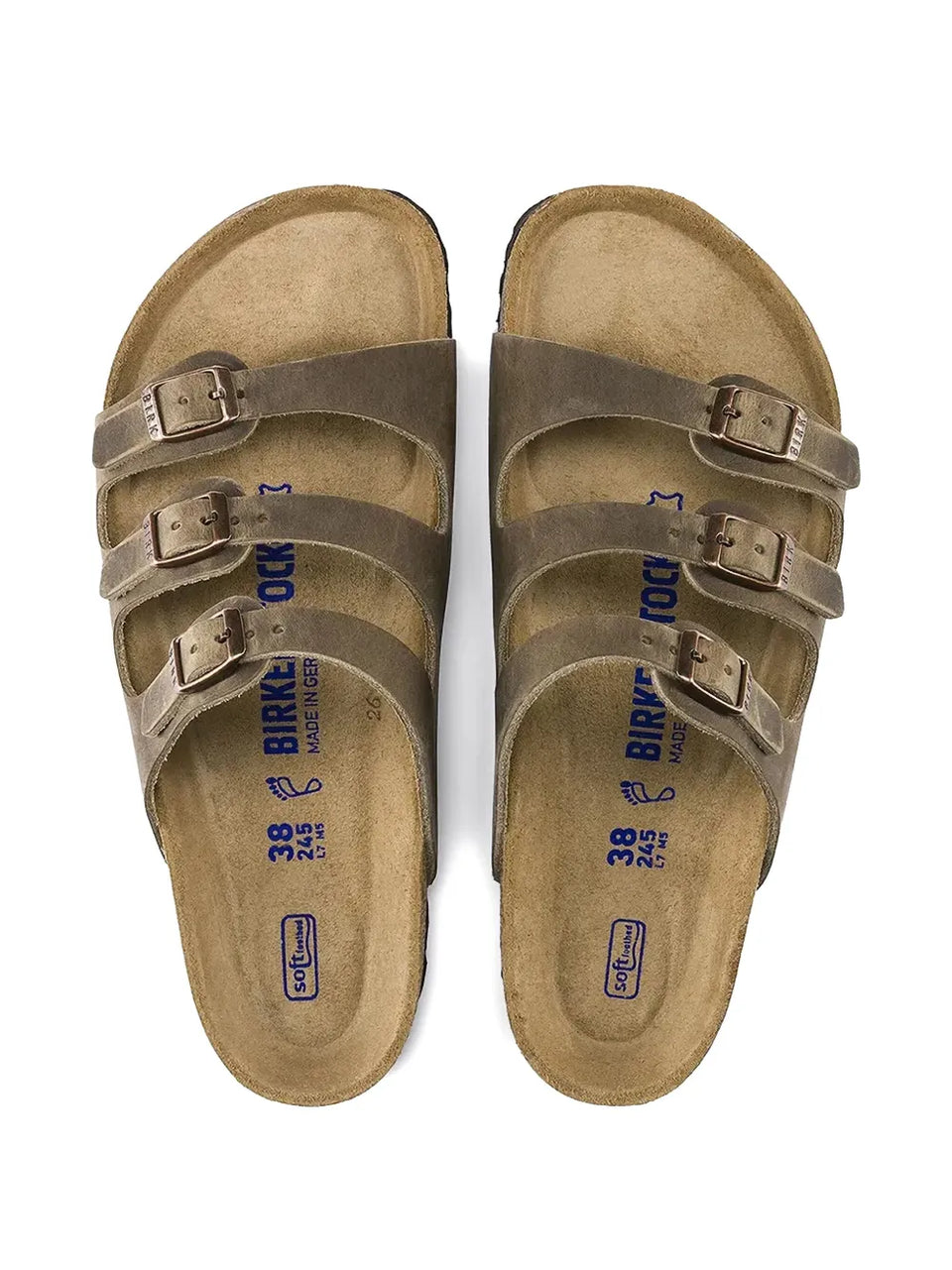 Florida slides