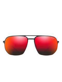 Shark's Cove sunglasses