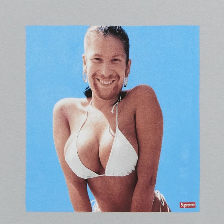 Supreme x Aphex Twin Windowlicker T-Shirt Cement