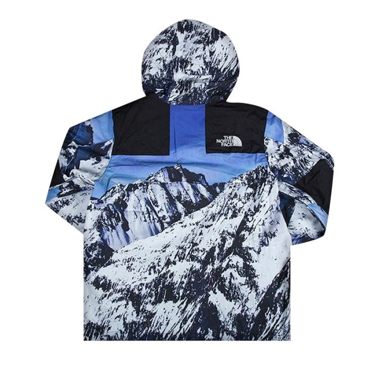 Supreme x The North Face Mountain Parka Mountain Print