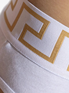 Greca-waistband briefs