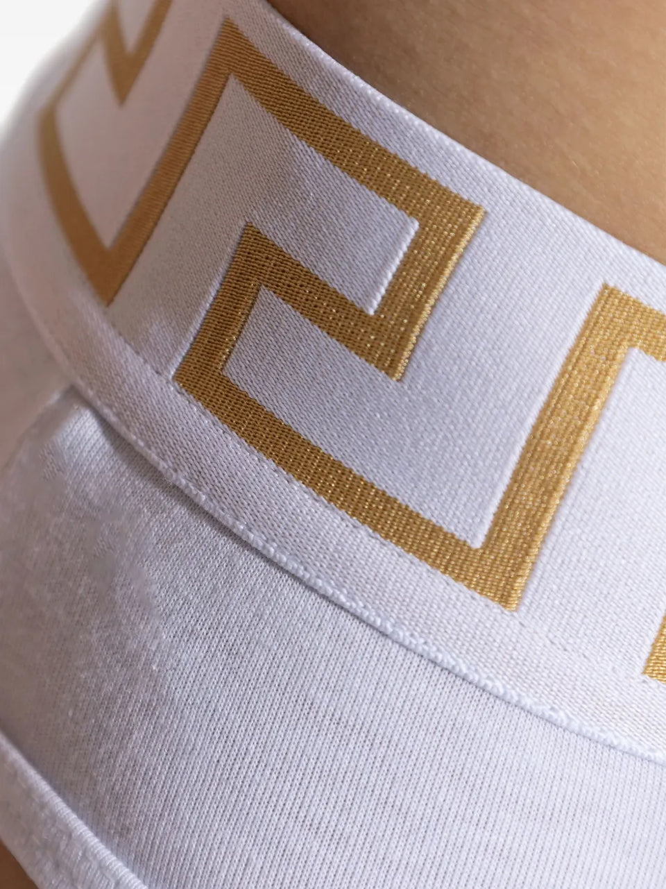 Greca-waistband briefs