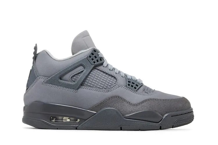 Air Jordan 4 Retro SE Paris Olympics Wet Cement