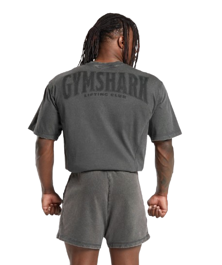 Gymshark Heritage Washed T-Shirt - Onyx Grey