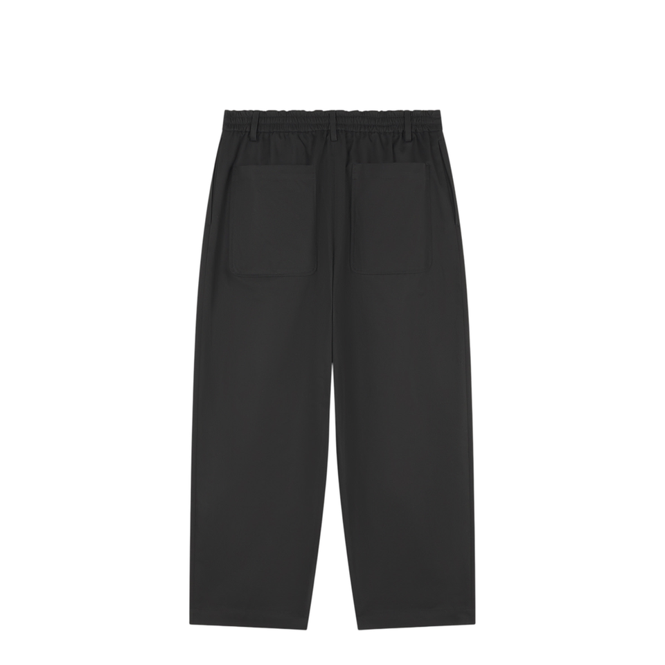 Cropped Pleated Chino Pants