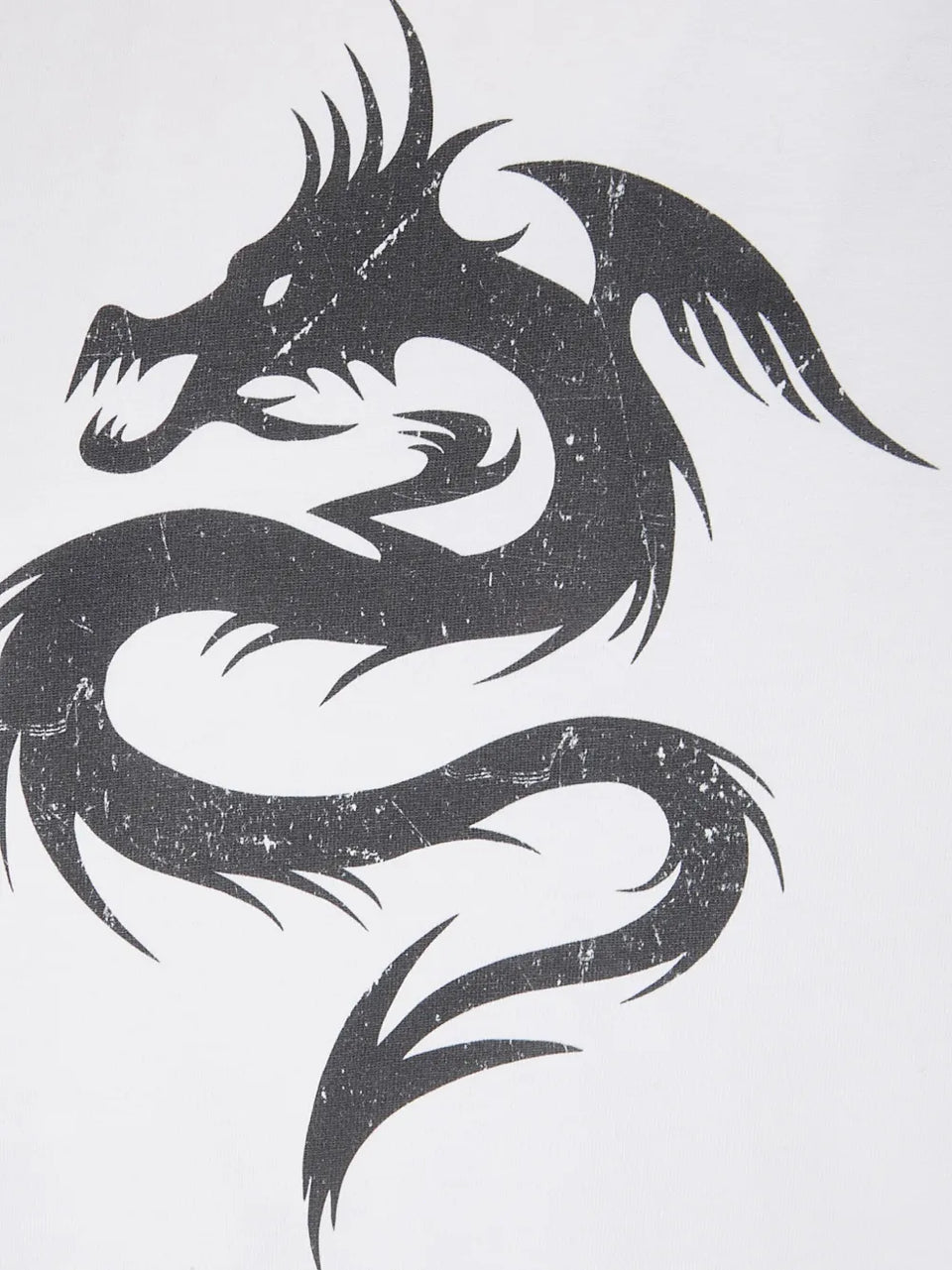 Dragon raglan-sleeve T-Shirt