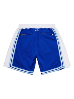 hardwood classics shorts