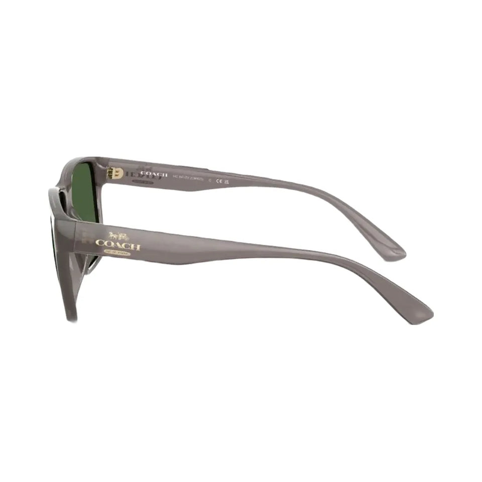 Coach Square Sunglasses Transparent Gray