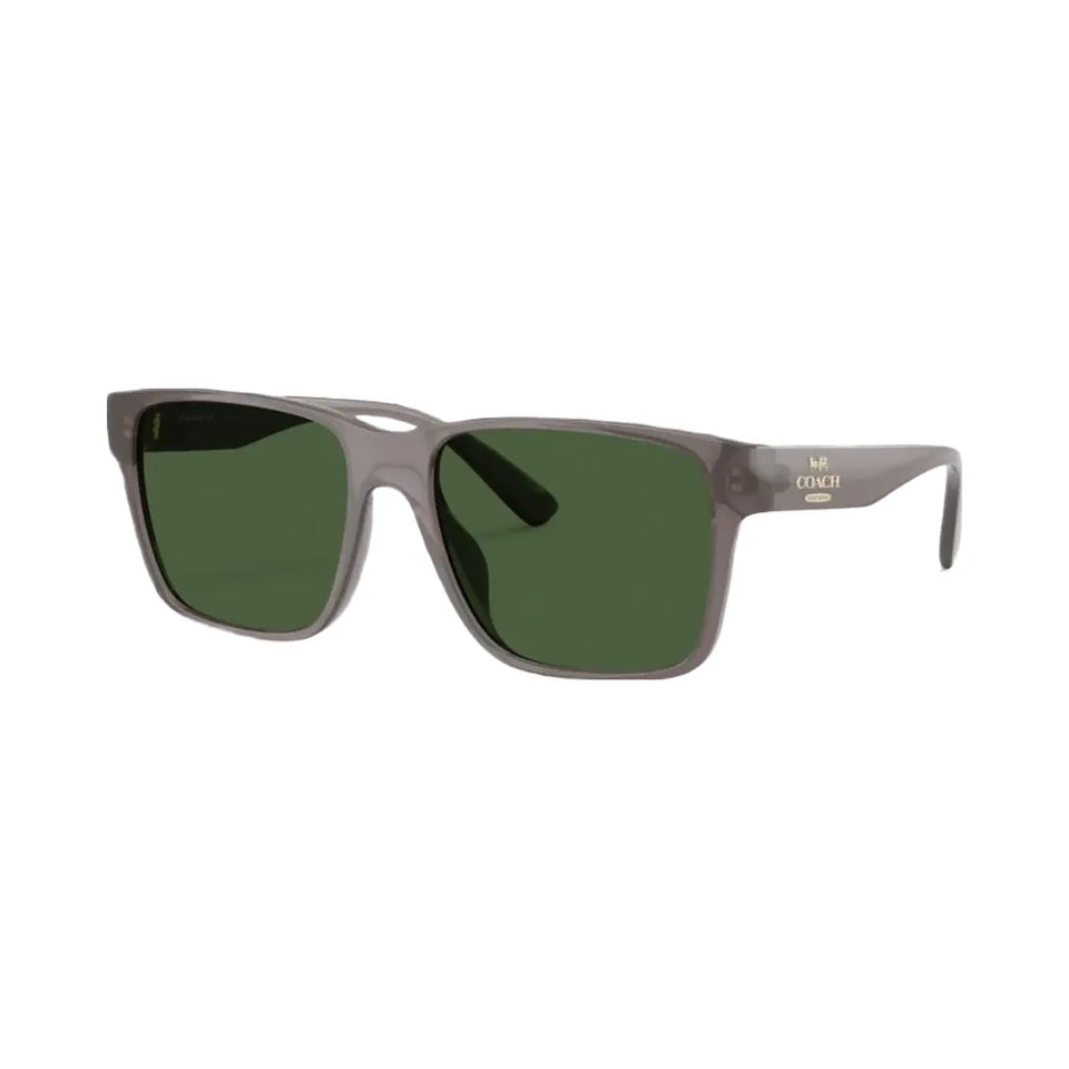 Coach Square Sunglasses Transparent Gray