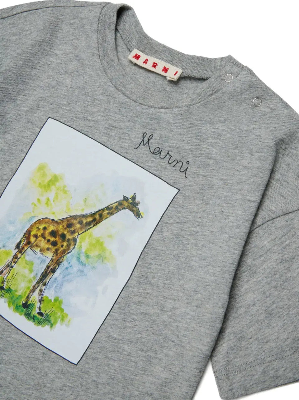 giraffe-graphic T-Shirt