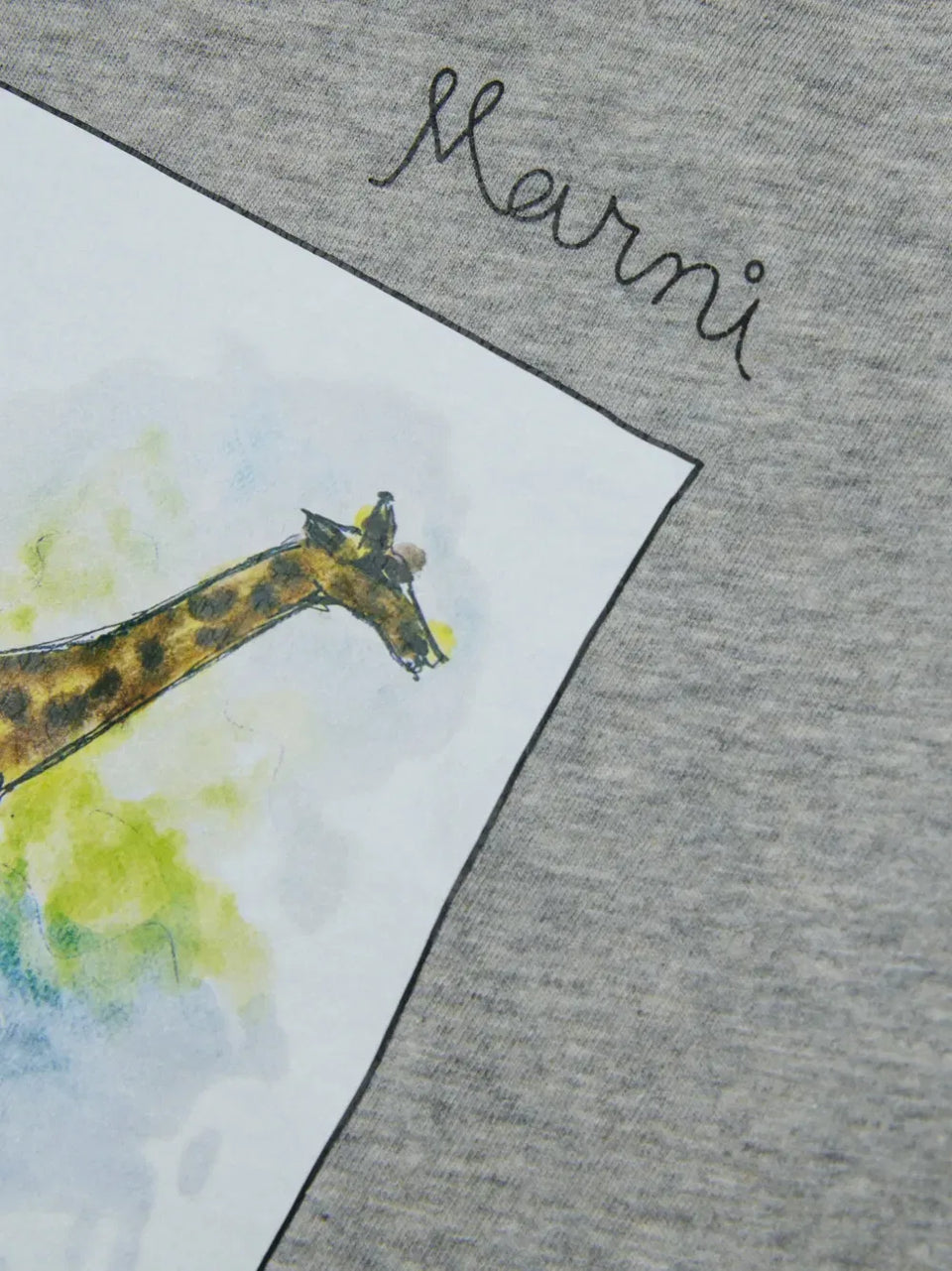 giraffe-graphic T-Shirt