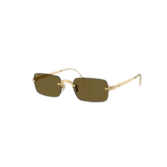 Rayban RB3928 ASAP Rocky Sunglasses Dark Brown - 00171 54