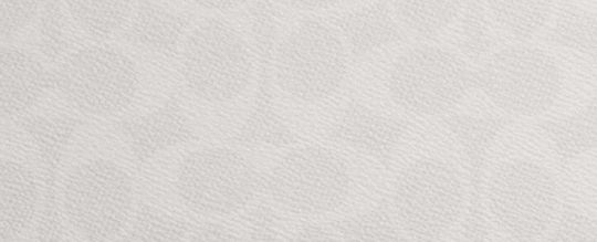 West Backpack In Signature Canvas