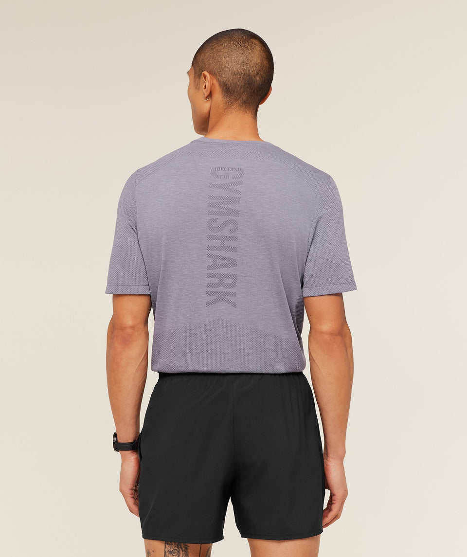 Gymshark Lightweight Seamless T-Shirt - GS Fog Purple/ Marl