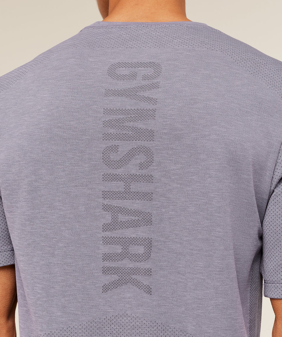 Gymshark Lightweight Seamless T-Shirt - GS Fog Purple/ Marl