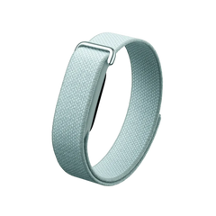 Google Fitbit Air "Fog"