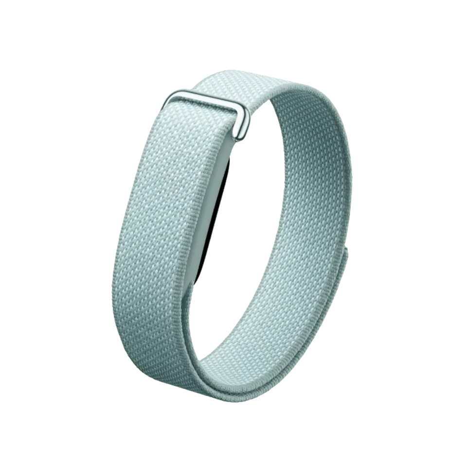 Google Fitbit Air "Fog"
