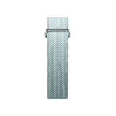 Google Fitbit Air "Fog"