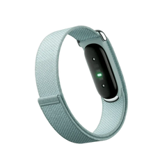 Google Fitbit Air "Fog"