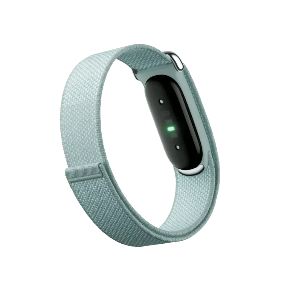 Google Fitbit Air "Fog"