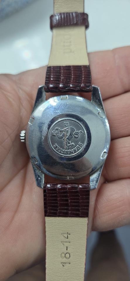 Omega Seamaster