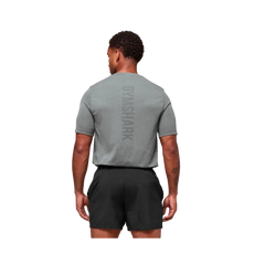 Gymshark Lightweight Seamless T-Shirt Light Grey