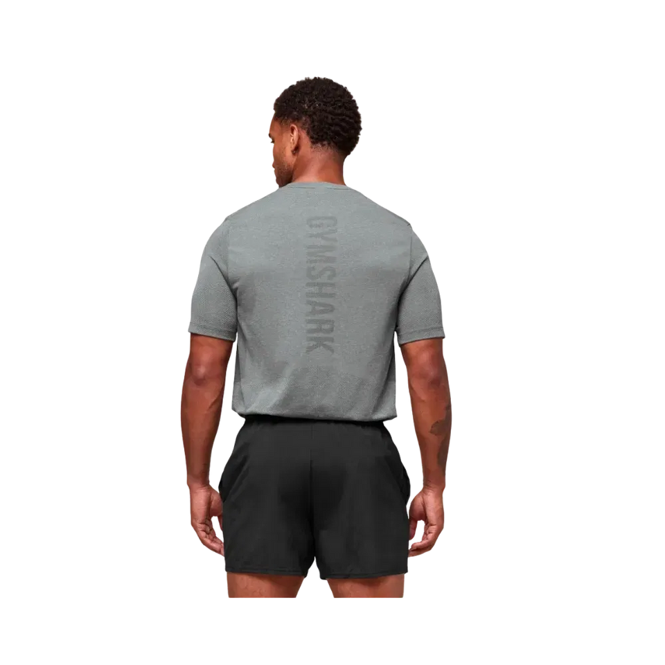 Gymshark Lightweight Seamless T-Shirt Light Grey