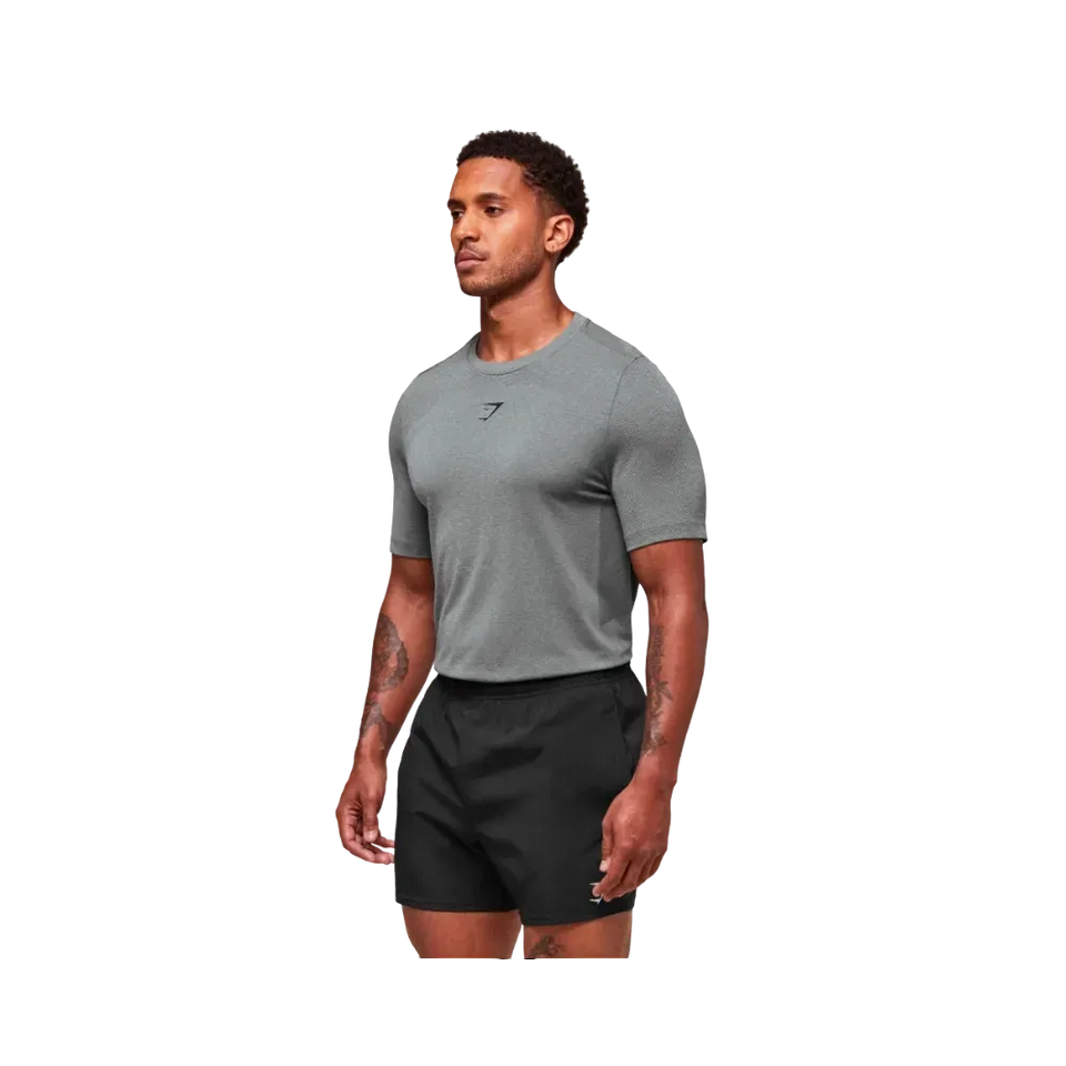 Gymshark Lightweight Seamless T-Shirt Light Grey