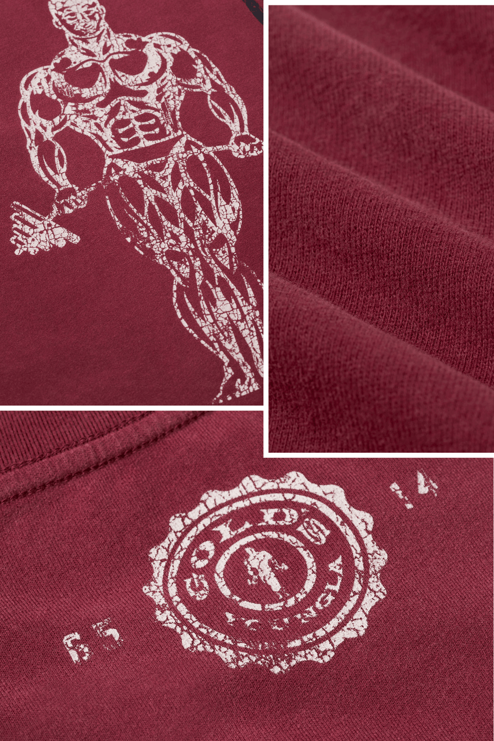4213 - Gold's Iron Legacy Icon Tees