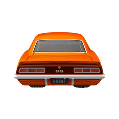 Hot Wheels Collectors RED LINE CLUB sELECTIONs 69 CHEVY CAMARO SS