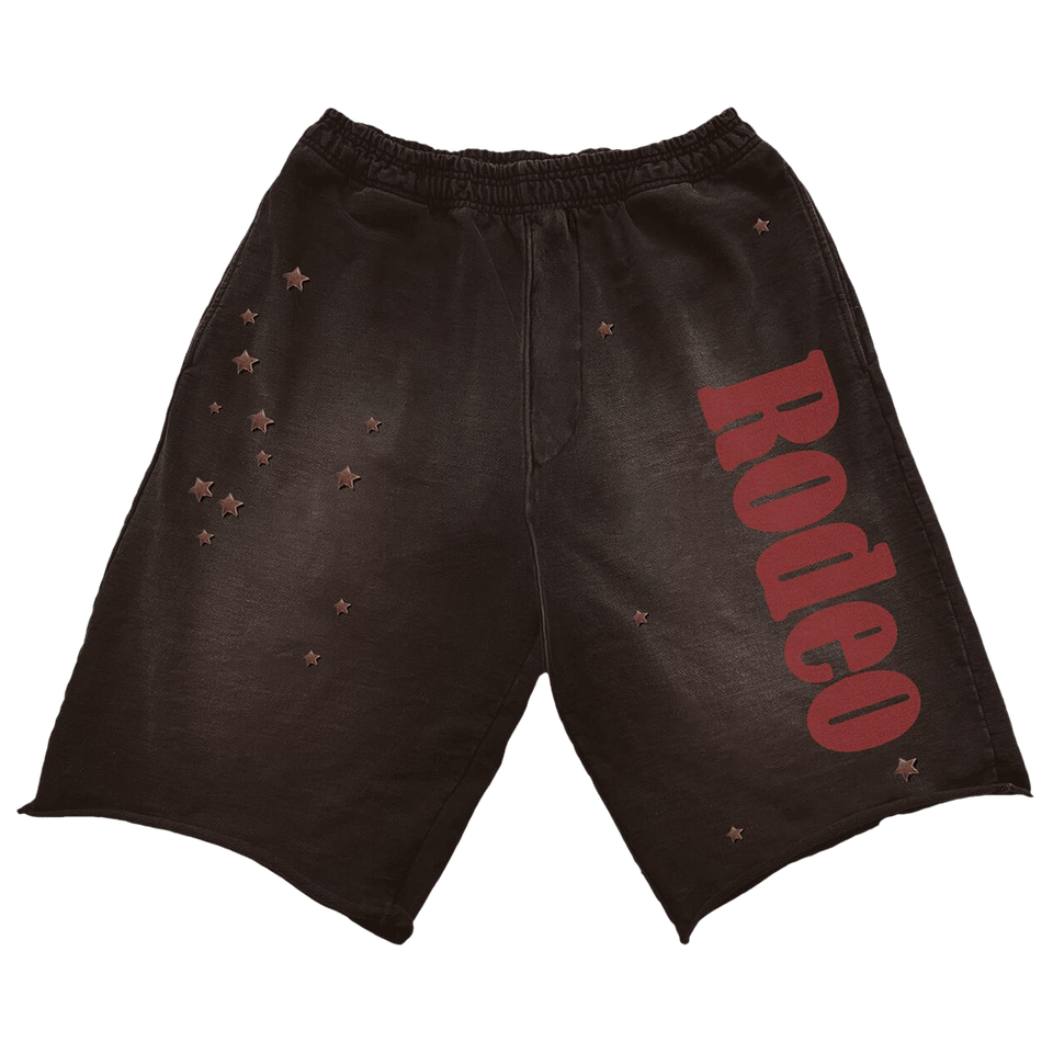 Cactus Jack by Travis Scott x Sp5der Days Before Rodeo Shorts Brown