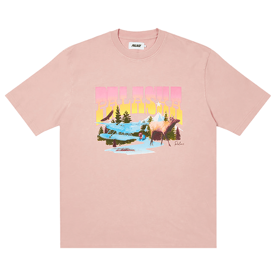Palace Palaska Dye T-Shirt Pink