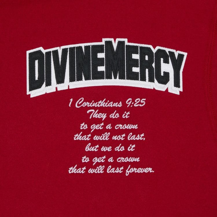 Supreme Salvation Zip Up Hoodie Red