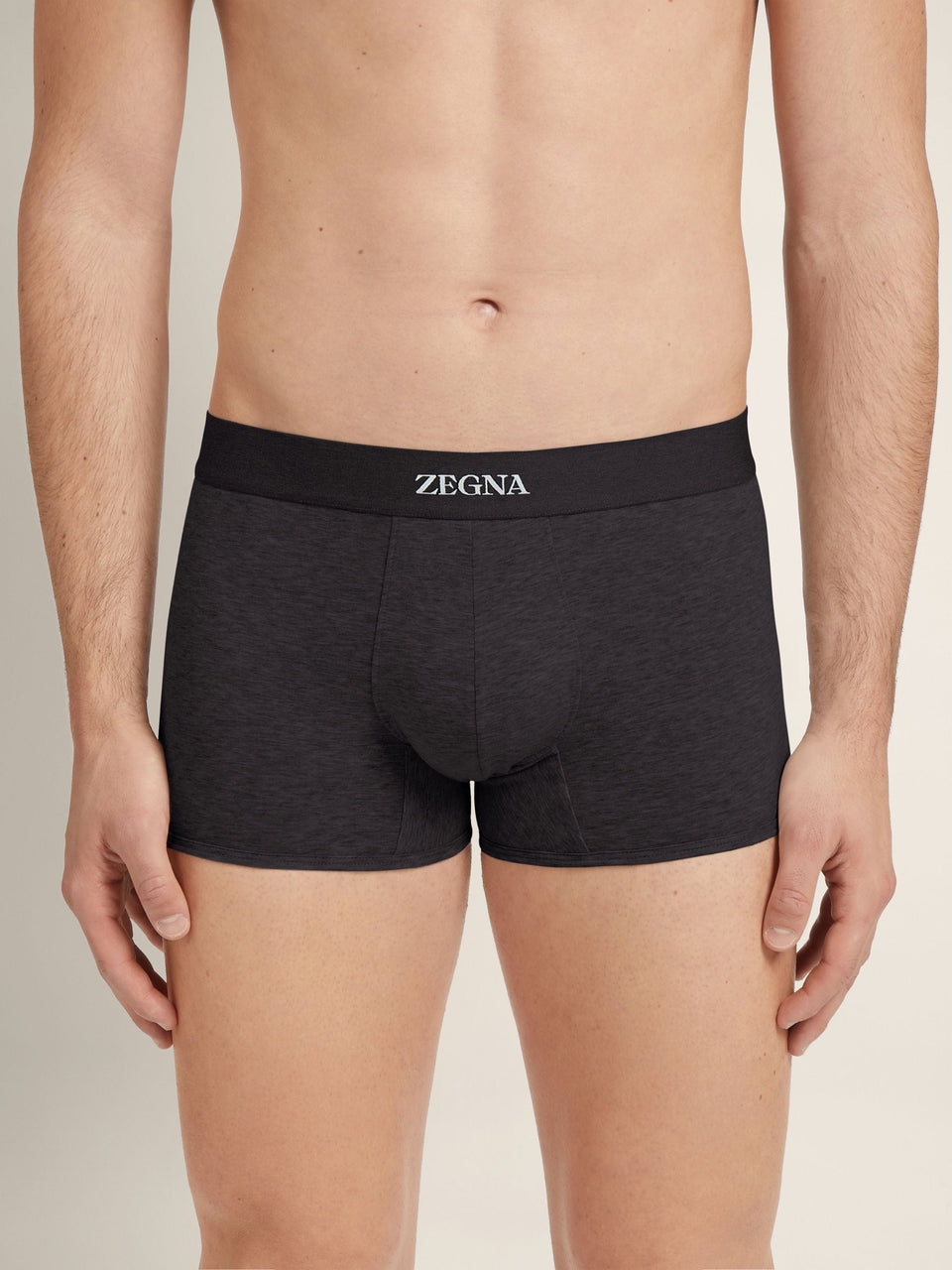 Zegna Black Cotton Trunks