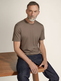 Zegna Dark Taupe Vellus Aureum T-Shirt