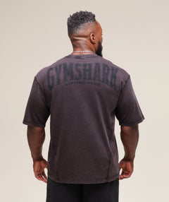 Gymshark Heritage Washed T-Shirt - Plum Brown